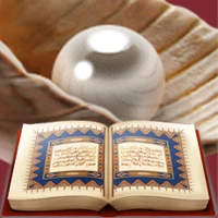 Pearls of Wisdom – Islamic Ethics & Life Guidance